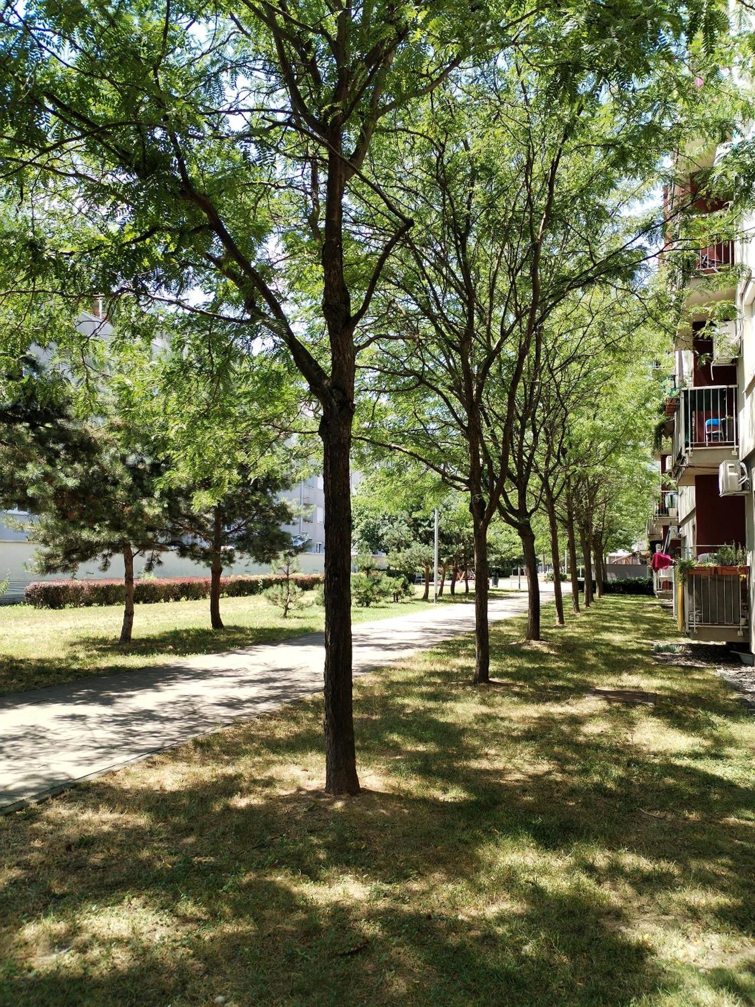 Apartman Ivana Zagreb Exterior foto